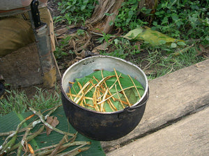 Racism and the Discrimination Against Traditional Ayahuasqueros by Anthropology Users in Academia by Danny Nemu