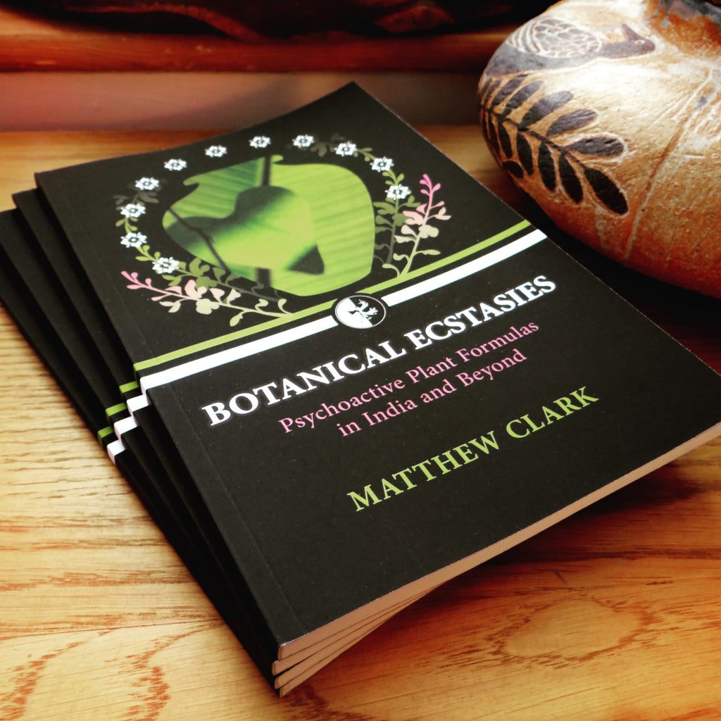 Botanical Ecstasies: An Interview with Dr Matthew Clark
