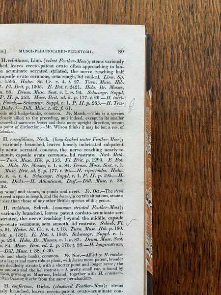 Hooker's British Flora, 2 Vols. (1833 & 1836) | Fungi, Mosses & Lichens