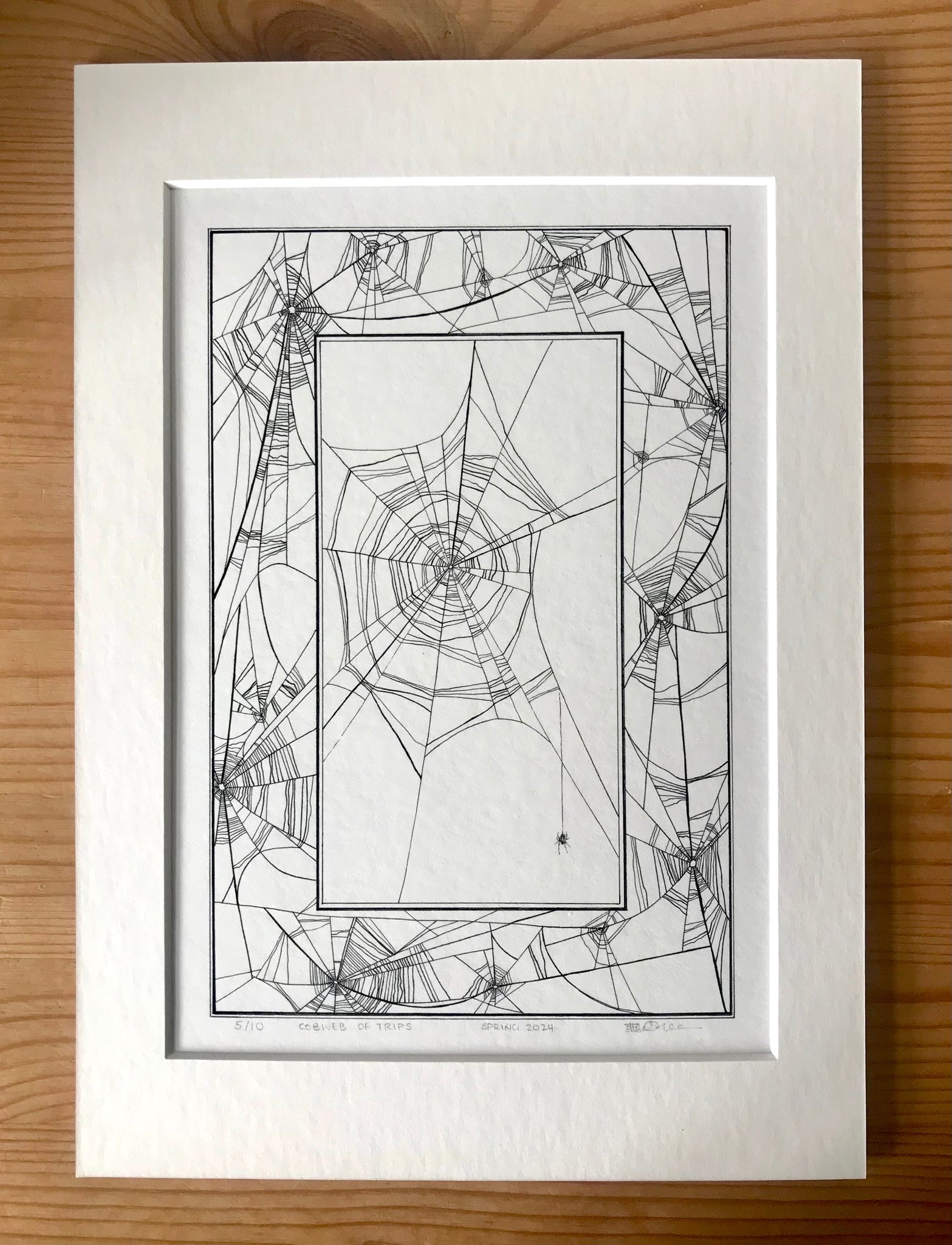 Cobweb of Trips - Ltd. Edition Prints - by Ellen Osborne