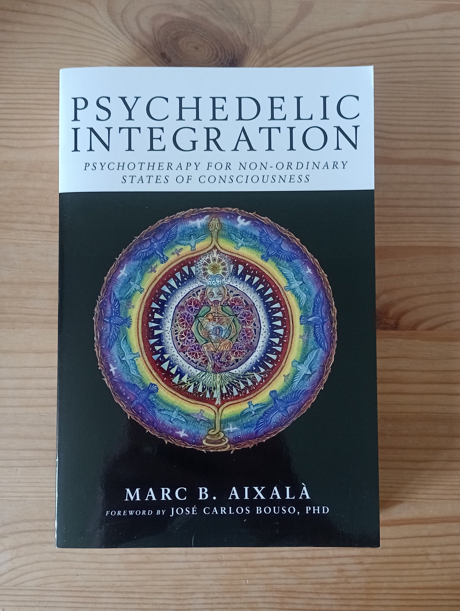 Psychedelic Integration (2022) by Marc B Aixala
