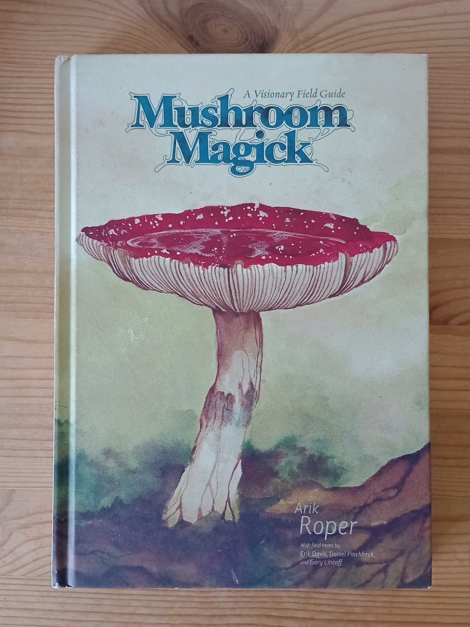 Mushroom Magick: A Visionary Field Guide (2009) by Arik Roper